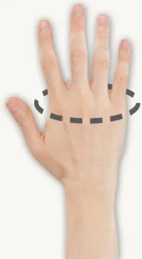 | Hand